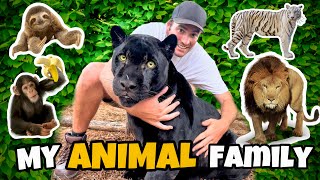 MY ANIMAL FAMILY  LIONS TIGERS MONKEYS AND MORE [upl. by Eenad829]