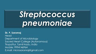 Streptococcus pneumoniae [upl. by Aicnatsnoc]