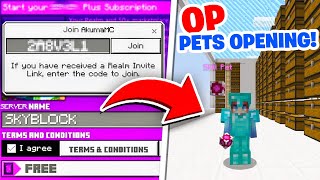 OPENING OP PETS CRATES  AkumaMC Minecraft Skyblock 10 [upl. by Asilaj]