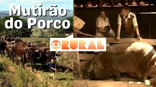 Um Clássico do Globo Rural  A Reportagem Perfeita de Nelson Araújo [upl. by Eliak245]