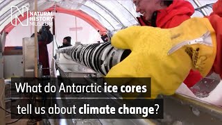 What Antarctic ice cores tell us about climate change  Natural History Museum [upl. by Linden749]