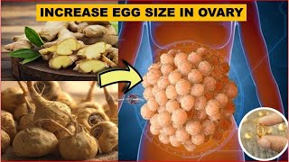 How to Increase Egg Size in Ovary Naturally Top 10 Foods to Increase follicle size Fast [upl. by Finah]