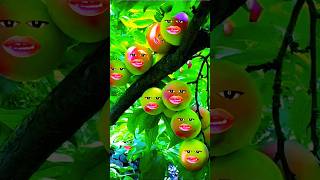 Alifun baa Taun Saa  Naat  islamic video  cute islamicshorts catie islamicsong love fruit [upl. by Esoranna366]