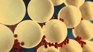 AcouTrap  Automated sample preparation of cells and extracellular vesicles using acoustic trapping [upl. by Hylan]