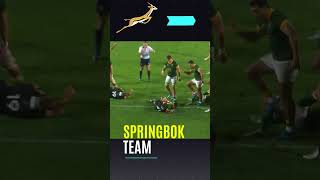 Breaking SPRINGBOK Team Announcement vs ALL BLACKS [upl. by Cannell]