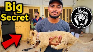 Zoos Biggest Secret Revealed [upl. by Ardnohs]