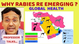 why rabies is reemerging  Global health talk [upl. by Ecydnac]