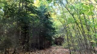 YOOPER BACK ROADS AND FALL COLORS [upl. by Arahsal]