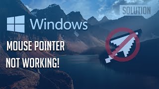 Mouse Pointer Disappears  Not Working in Windows 1087  3 Solutions [upl. by Jessey]