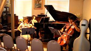 Tchaikovsky Piano Trio Op 50 偉大な芸術家の思い出の為に [upl. by Ettezus524]