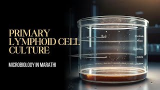 Primary lymphoid cell culture  Cell Culture Techniques  MicroBiology in Marathi [upl. by Osy]