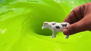 Whirlpools and cow Whirlpool Whirlpool Video toy Whirlpool toys [upl. by Celia]