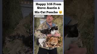 Happy 316 Day  Stone Cold Steve Austin amp His Barn Cat  Celebrity Pets amp Animal Interaction Videos [upl. by Draper368]