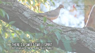 Hymn Lyrics  Sweet Sweet Spirit  UMH 334 [upl. by Abernon]