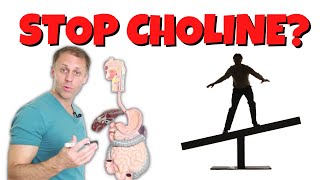 Who Should and Should NOT Use Choline [upl. by Zzahc]