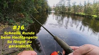 16 Schnelle Runde beim Hechtangeln So fängst du garantiert 🎣 [upl. by Carbo]