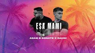 Adam S Donatz X DAVIDI  ESA MAMI [upl. by Eidnarb]