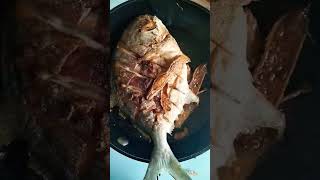 Frying Pompano Fish so yummy recipe asmr pompanofish fry satisfyingfoods shortvideo [upl. by Fortunia]