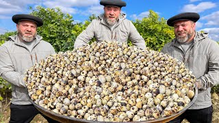 LargeScale Cooking Of 1000 Quail Eggs Culinary Splendor Or Madness [upl. by Cand]