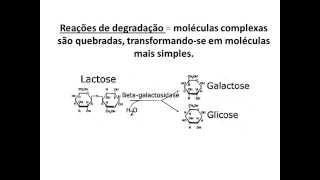 METABOLISMO ENERGÉTICO 2 CITOLOGIA  Angelo Vieira [upl. by Aciria279]