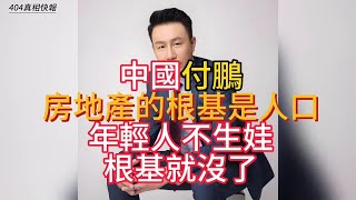 付鵬，中國房地產的根基是人口，年輕人不生娃，根基就沒了 付鵬 最新讲演 ｜中国付鹏：房地产的根基是人口，年轻人不生娃，根基就没了 付鹏 [upl. by Layod86]