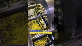 Durum wheat pasta macaroni production line  Durum wheat pasta machine  pastamaker pastaplant [upl. by Moth]