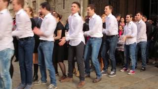 Flashmob  Marry You  Heiratsantrag Stephansplatz Wien [upl. by Shaer]