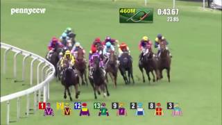 Craziest horse racing DEBUT ever  6 Pakistan Stars from Last to First Hong Kong 2016 [upl. by Alie47]