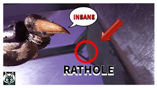 TOP 2 Ratholes on Gen Part 2ARK SURVIVAL EVOLVED [upl. by Ecyac]