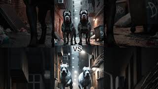 CANE CORSO VS DOGO ARGENTINOROTTWEILERGERMAN SHEPHERD AND OTHERSWHO WILL WIN [upl. by Buckler322]