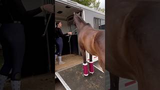 APOLLOS FIRST SHOW WEEKEND horse equestrian horseshow blowup fyp riding rider [upl. by Annahavas876]