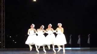 Les Ballets Trockadero de Monte Carlo [upl. by Gulick]