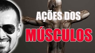 Sistema Muscular Ação dos músculos macete fácil de aprender  Anatomia Humana  VideoAula 023 [upl. by Sheehan]