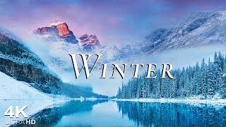 WINTER 4K HD  Nature Relaxation Film With Peaceful Relaxing Music  Nature 4K Video Ultra HD [upl. by Sinclare]