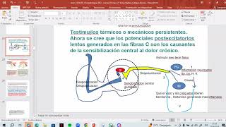 📚Clase 22 Parte II Fisiopatología del Dolor Dr Aguilar [upl. by Esteban]