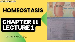 Homeostasis Class 10th Biology Kpk Textbook Board Peshawar Lec 1 [upl. by Concordia74]