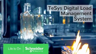 Introducing TeSys Island Load Management System  Schneider Electric [upl. by Erida]