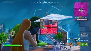 Fortnite [upl. by Lliw]