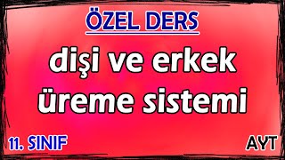 30 Dişi ve Erkek Üreme Sistemi  Özel Ders 11 Sınıf [upl. by Mariande]