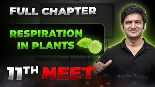 Respiration in Plants FULL CHAPTER  Class 11th Botany  Arjuna NEET [upl. by Hainahpez357]