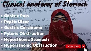 Clinical anatomy of stomach  stomach anatomy  abdomen and pelvis  ayeshamedicaleducation [upl. by Gnen85]