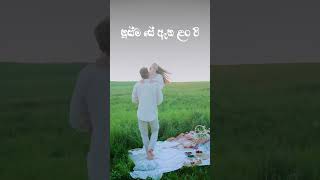 Dampata Handawe දම්පාට හැන්දෑවේ love fypシ゚viral [upl. by Falcone]