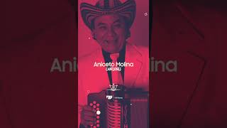 Aniceto Molina ASÍ SOY YO anicetomolina cumbia navidad 2024 shorts parati [upl. by Orecic726]