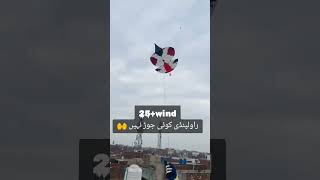 Kite flying and other kite kiteflying kite kitemakingandflyingtest shorts viral kite [upl. by Kempe]