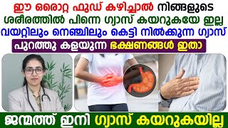 ഈ ഒരൊറ്റ ഫുഡ് കഴിച്ചാൽ ശരീരത്തിൽ പിന്നെ ഗ്യാസ് കയറുകയേ ഇല്ലGasTrouble MalayalamDr Sreya S Madhavan [upl. by Enelyahs871]