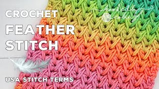 Crochet Feather Stitch Great for Scarves or Blankets [upl. by Iblok]