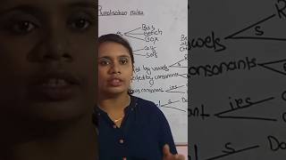 Grammar Essentials Pluralization Rules for Beginners Full video in related video [upl. by Kerns]