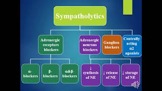 Revision Autonomic pharmacology 2 [upl. by Acemahs]