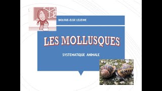 Mollusques [upl. by Nisse]