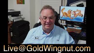 Gold Wingnut Live 10 4724 [upl. by Nahsaj]